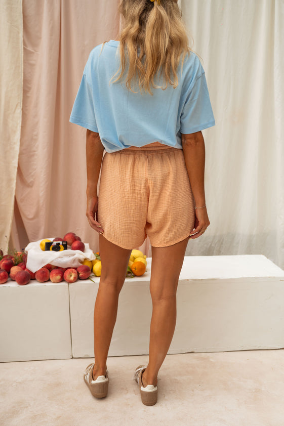 Peach Augustin Shorts