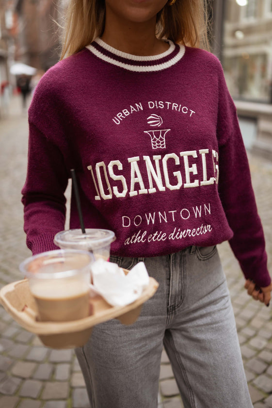 Burgundy Diego Sweater